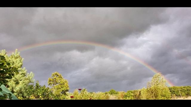 Пока мы живы смотреть онлайн