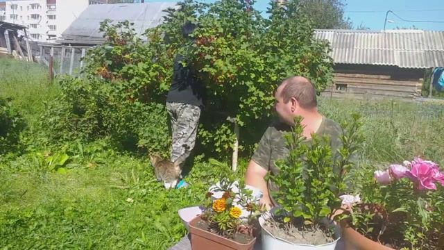 Ягод мало не бывает🤩И снова забор👍 смотреть онлайн