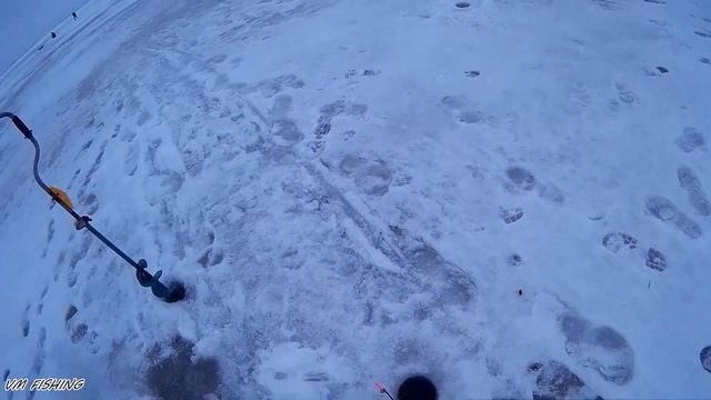 Зимняя рыбалка. Ловля Берша на тюльку. СНАСТЬ для ловли берша!