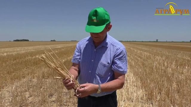 Посев кукурузы по технологии NO Till смотреть онлайн