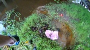 Богатый МОСТ Находки на Поисковый Магнит