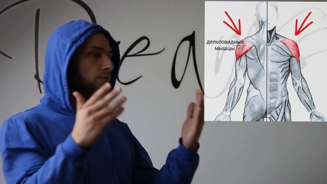 ОТЖИМАНИЯ ОТ ПОЛА. Какие мышцы работают? смотреть онлайн