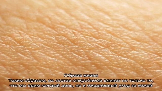 Микробиом кожи: что это такое, каковы его функции? Микробиом и микробиота: в чем отличие? смотреть онлайн