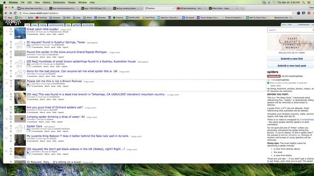 Reddit and Imgur - More of the Basics Tutorial смотреть онлайн