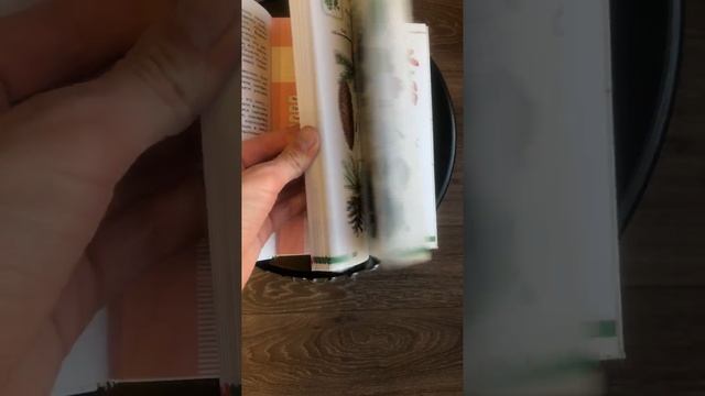 Атлас-определитель От земли до неба - А. Плешаков