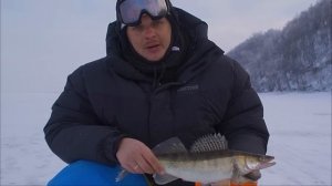 НА ЭТОТ ВИБ ПОЙМАЕТ СУДАКА ДАЖЕ НОВИЧОК❗️Первый лёд 2023-2024 судак на вибы!