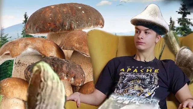 КАК появился МЕМ про ШАЙЛУШАЯ?! смотреть онлайн