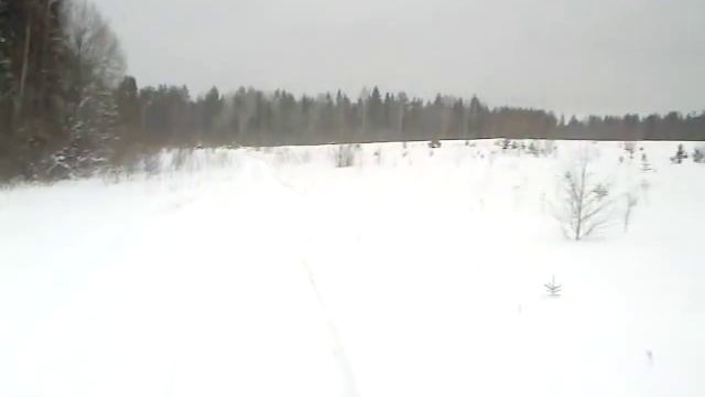 Снегоболотоход "ЛЕСНИК" смотреть онлайн