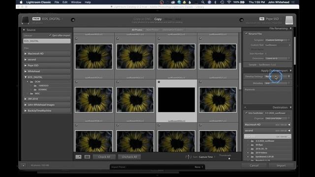 Lightroom Classic 2020-Import смотреть онлайн