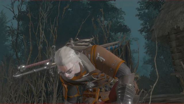 The Witcher 3: demônio do poço e Morte de Tomira смотреть онлайн