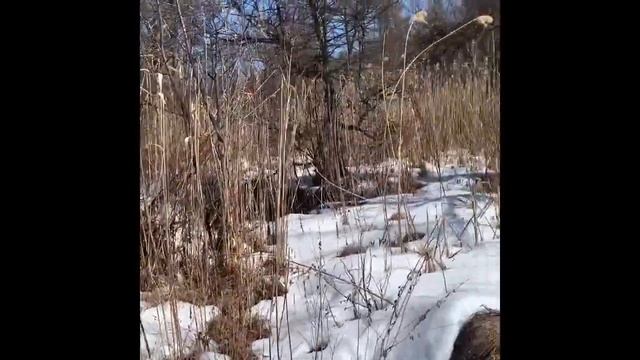 Using google earth to find gold in Michigan смотреть онлайн