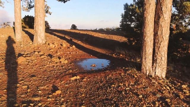 Кипр - НЕ ПЛЯЖНЫЙ отдых и НЕ В СЕЗОН 2020 I Куда поехать? Что посмотреть? VLOG смотреть онлайн