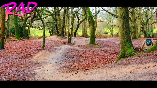 Hpi WR8 Flux Ken Block RC fun in the woods смотреть онлайн