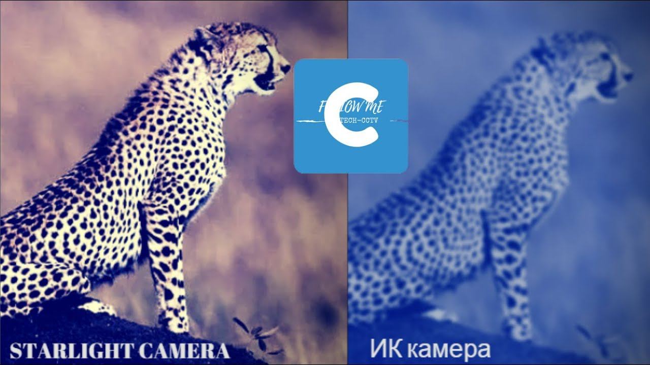 Что такое STARLIGHT камера-для ночной съемки SONY IMX291+NVP авто IRIS смотреть онлайн