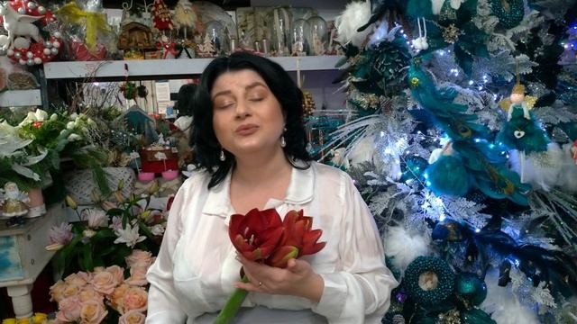 Galbenă Gutuie - Gabriela Băncilă Colind 2022 ( Oficial Video - Cover Nica Zaharia)