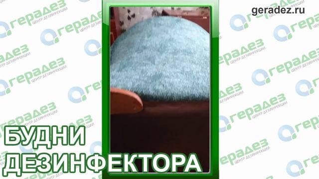 Домовладелец Профи