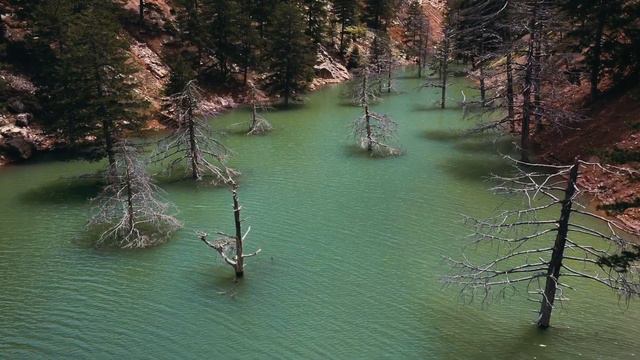 Dim Çayı Milli Parkı смотреть онлайн