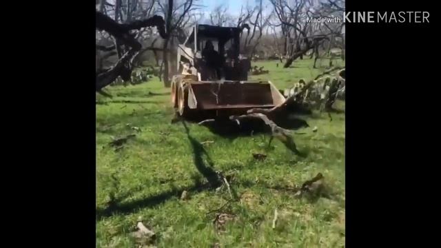 Slasher As Vines Part 4