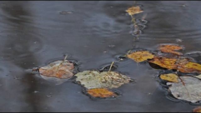 ОСЕННИЙ РОМАНС смотреть онлайн