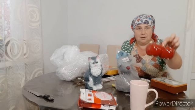 ТУШЁНКА БЕСПЛАТНО?была в городе смотреть онлайн