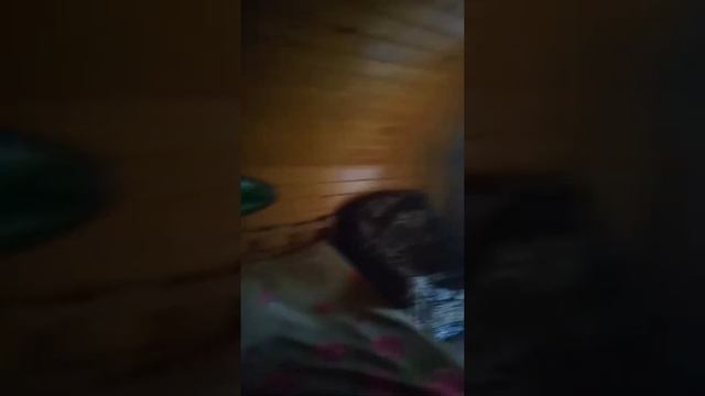 Ставропольский край База отдыха смотреть онлайн