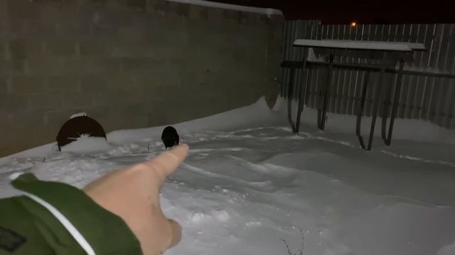 КАК ТАМ БЕЖКА с ПИРАТОМ за ЗАБОРОМ, МАСЯ СНЕГОХОД, ПАПА тестирует ПОДАРОК с МАТРЁШКАМИ смотреть онлайн