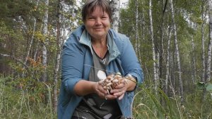 Опята.Сбор опят.Мечта грибника.