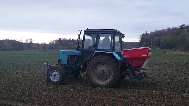 Разбрасывание селитры аммиачной N 34,4  для первой подкормки озимого чеснока на поле площадью 7 га.