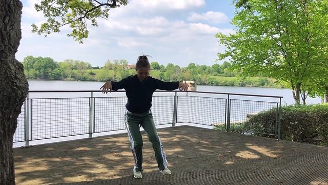 The Tiger Movement - Qigong Five Animals Frolic смотреть онлайн