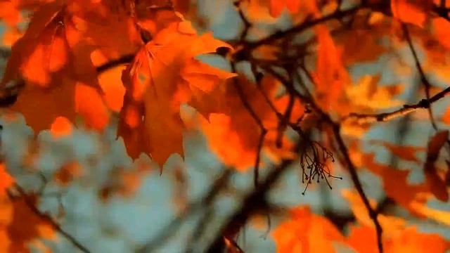 Svyatoslav Lunyov - Sonata for Cello and Piano смотреть онлайн