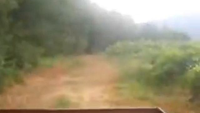 QUADRAIDER SYM 600 смотреть онлайн