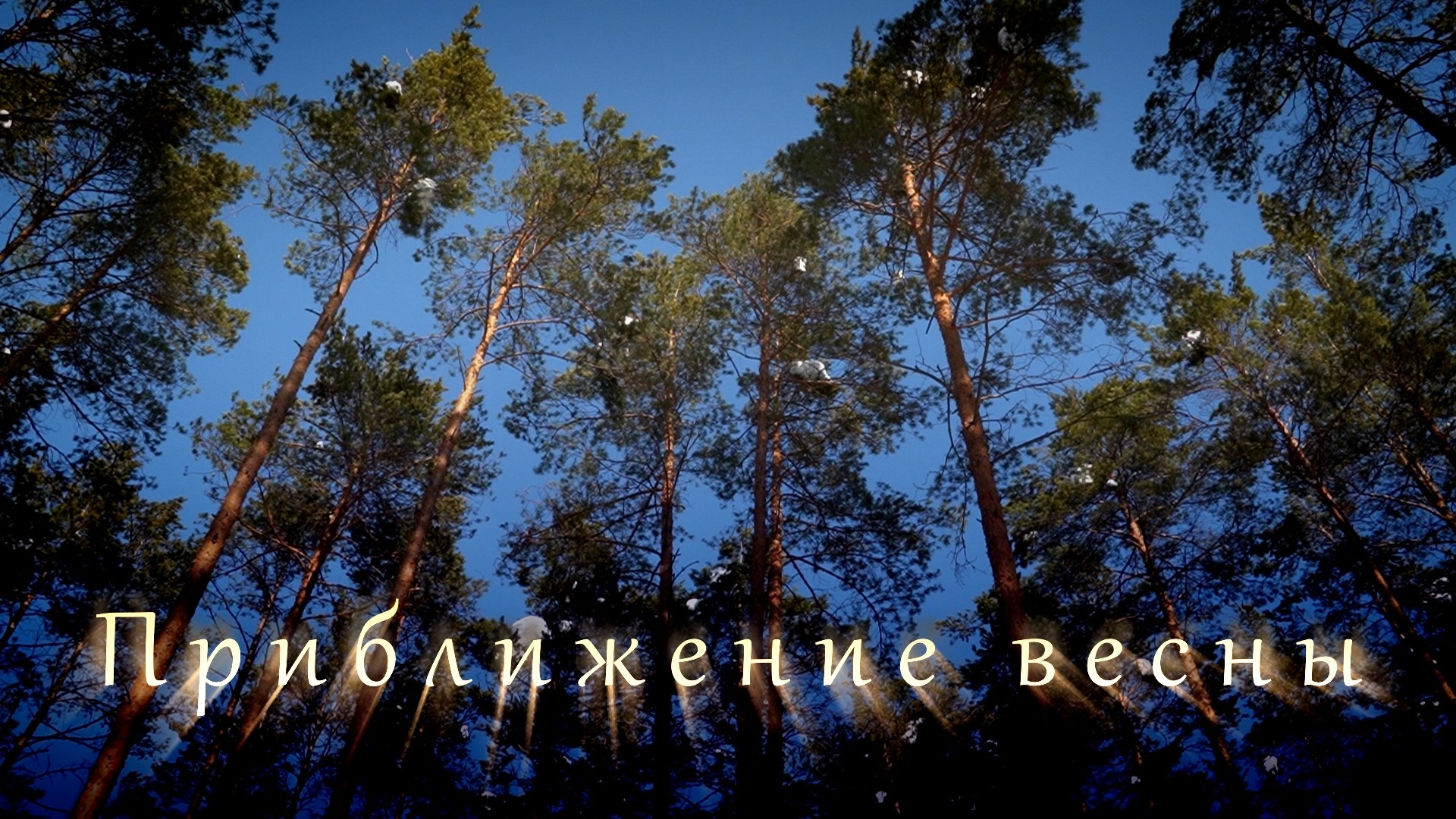 2022 год