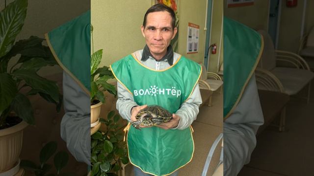 Международный день добрых дел смотреть онлайн