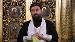 Протоиерей Андрей Ткачев. Неделя о самарянке (2013 06 02)