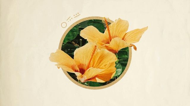 ((( 2 ))) - 08. omw смотреть онлайн