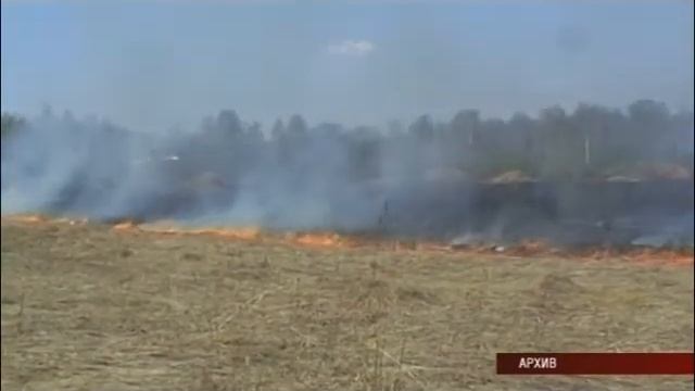 22 04 2019 Жгли мусор — спалили дом, — в МЧС прокомментировали пожар в Завьяловском районе смотреть онлайн