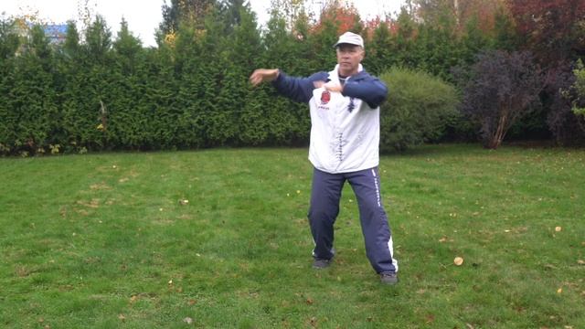 ШКОЛА ИЦЮАНЬ-185. Ицюань Туйшоу. Синхронизация на шагах. Нащупывание усилий. смотреть онлайн