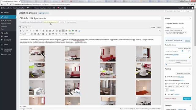 Gestire un sito multilingua WPML in WordPress смотреть онлайн