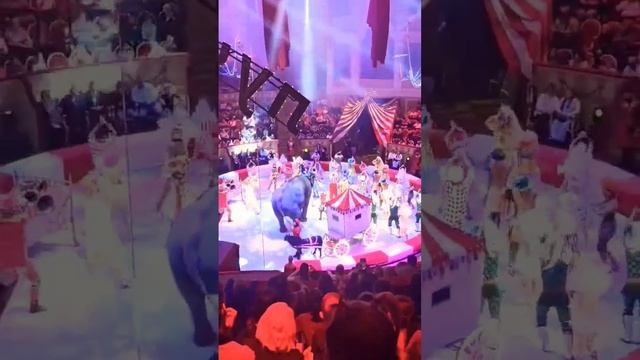 Кто-то сидит дома, а кто-то ходит в #цирк! #шоу #смайл смотреть онлайн