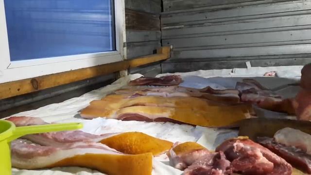 10 років вона шкварчить‼️Свіжина-Таранчюк по накатаній‼️Відео-огляд ‼️Сніданок для Л.П‼️ смотреть онлайн