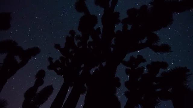 Звёздное Небо смотреть онлайн