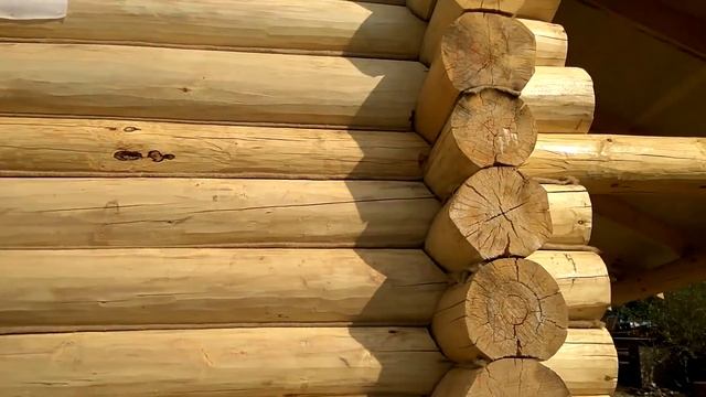 ОГРОМНОЕ бревно для бани # Немного о нашей осине для бань смотреть онлайн