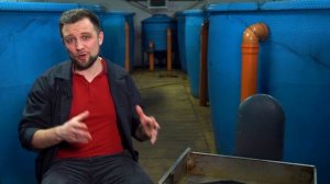 ОБЗОР рыбы – Африканский КЛАРИЕВЫЙ СОМ! Разведение африканского сома в УЗВ