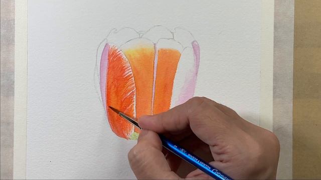 How to paint Red Tulip with Watercolours смотреть онлайн