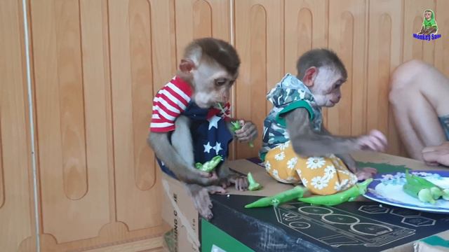 Adorable Smart Monkey Sam Asher Likes to eat okra Super Chef Dad смотреть онлайн