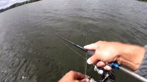 Приманка на Окуня и Щуку. Блесна Цикада. Как ловить на Блесну. Цикада Imakatsu Piranha. Ловля щуки