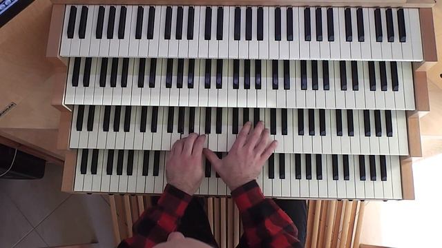Bach - BWV 538 Toccata And Fugue In D Minor “Dorian” (Schnitger Organ, Zwolle, Hauptwerk)
