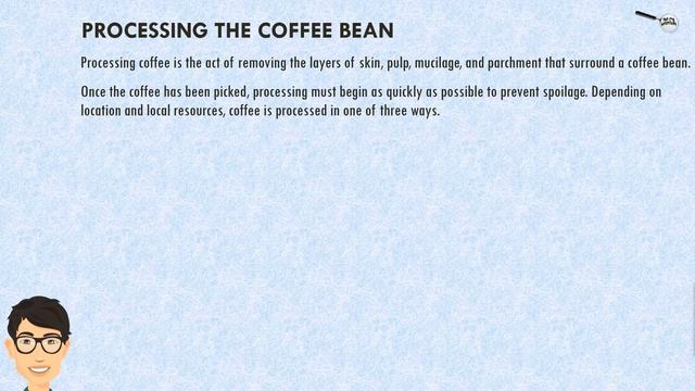 Basics of Coffee | Coffee beans | Types of Coffee смотреть онлайн