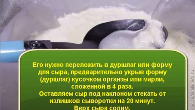 Готовим Сыр Фета в домашних условиях смотреть онлайн