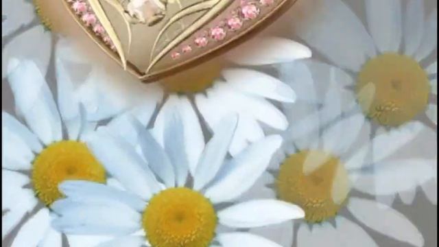 Библиотека футажей смотреть онлайн